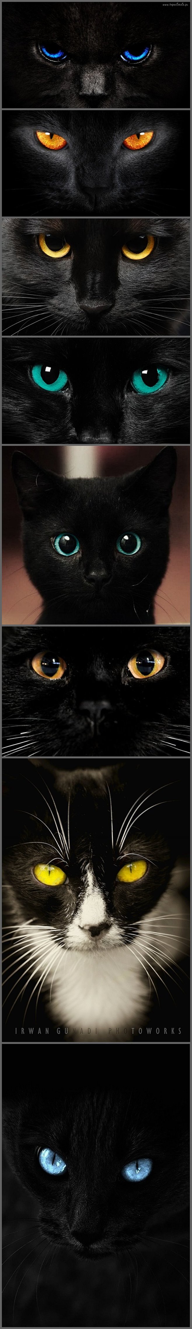 #宝石# 视觉  黑猫之眼