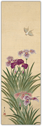 Irises and Moth.  Suzuki Kiitsu  (鈴木其一; 1796–1858).  Edo period.  Hanging scroll; ink, color, and gold on silk.  101.6 x 33 cm (40 x 13 in.)  | Donated to The Metropolitan Museum of Art, New York by the Mary and Jackson Burke Foundation in 2015: 