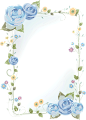 蓝玫瑰小花藤蔓免费边框素材（禁止商用）
PNG
2500×3493