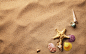 Download wallpaper sand, starfish, seashells, sand, starfish, shells, nature resolution 1680x1050