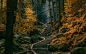 General 1920x1200 path stairs dark forest Germany nature landscape trees fall hill stones