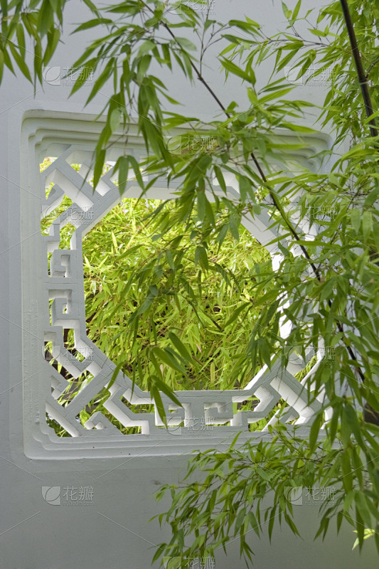 竹,窗户,白色,中式庭院,垂直画幅,禅宗,温哥华,洞,枝繁叶茂,无人