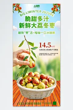脆甜冬枣水果促销海报