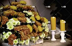 坛 祭坛上的饰品 秋花 Asters 菊花 落下 花壁纸 花园