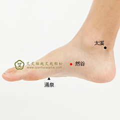 Riko丶采集到穴位