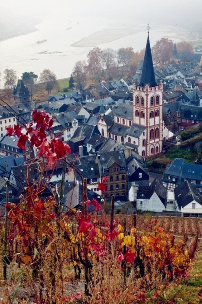 Bacharach, Germany。德...