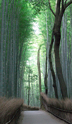 等距采集到素材-写生-未归类