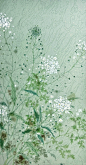 城中桃李愁风雨 春在溪头荠菜花