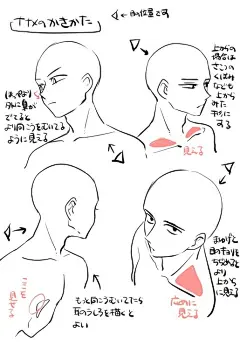 头部的角度变化、眼睛发型绘画教程！ （画师：成瀬 真琴腐） ​​​​#绘画学习# #插画艺术作品# ​​​​