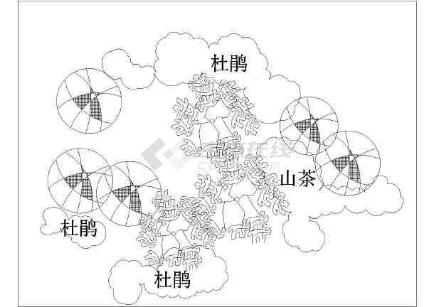 6种经典园林植物配置小品设计图纸_cad...