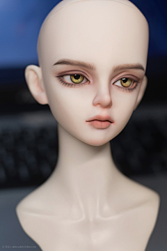 TG8cZazV采集到BJD