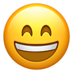 他的雪莉莉采集到emoji