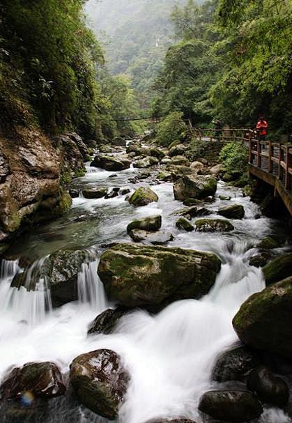 长江经济区【重庆 黑山谷景区】云雾迷漫，...