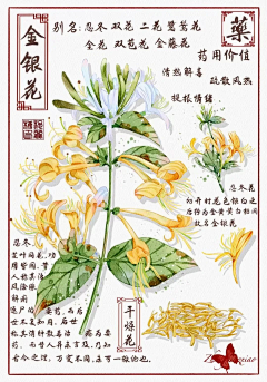 yZiDRwhg采集到绘画