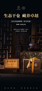 双陈普洱悦普会会员月活动