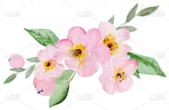 水彩樱花花。