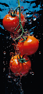 番茄西红柿碰撞摄影图
