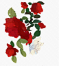 水彩红色玫瑰花花瓣-觅元素png设计元素
