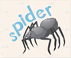 动物字卡与蜘蛛
