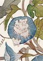 ✿100位女性插画师 : 可爱萌物 No.089 - 小红书