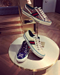 #guccitennis1977 | guccitennis1977 - Instagram话题 - veryins.com