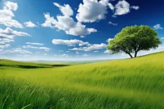 草原全景大草原蓝天白云摄影图