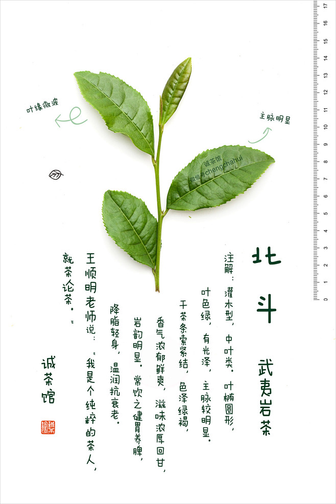 图鉴|诚茶馆 茶谱|新青年[科学/文艺]...