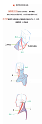 【春哥课堂】人体躯干肌肉到底怎么画？（比例+穿插关系） : 那个有趣的条漫教程又来啦！