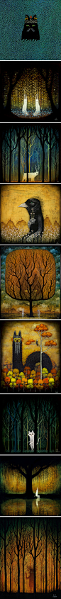 神秘森林~【andy kehoe · 图】