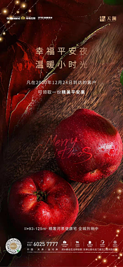 上海诗邑广告采集到地产-圣诞节
