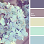 blue and light green, blue and lilac, blue and violet, blue and yellow, light green and blue, light green and lilac, light green and violet, light green and yellow, lilac and blue, lilac and light green, lilac and violet, lilac and yellow, violet and blue