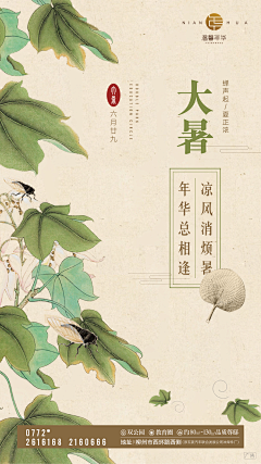 小白杨yll采集到节气