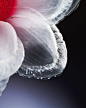 Plastic Flowers :: Behance