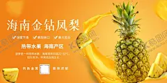 海南金钻凤梨海报 【酷图网】海南,金钻,凤梨,海报,设计