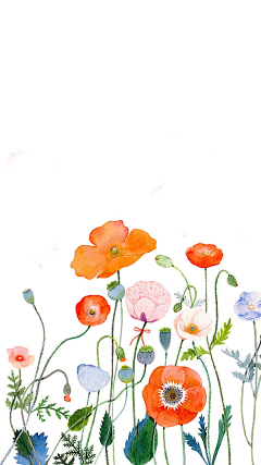 岁岁虾采集到原创插画