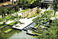 Cicada Landscape Architecture