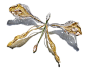 黄钻蜻蜓胸针
蜻蜓系列 – White Label Collection 高级珠宝
主石：马眼形切割白钻 2.01 克拉
配石：18 颗棕钻约 9.87 克拉/698 颗白钻约9.30克拉/1,139 颗黄钻约14.42 克拉/266 颗沙弗莱石约 1.56 克拉
材质：18K黄金/18K白金