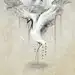 不会画颜色