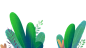植物png