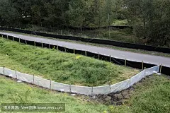 击剑抓捕爬行动物
Fencing to catch reptiles