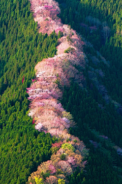 3188采集到25山地