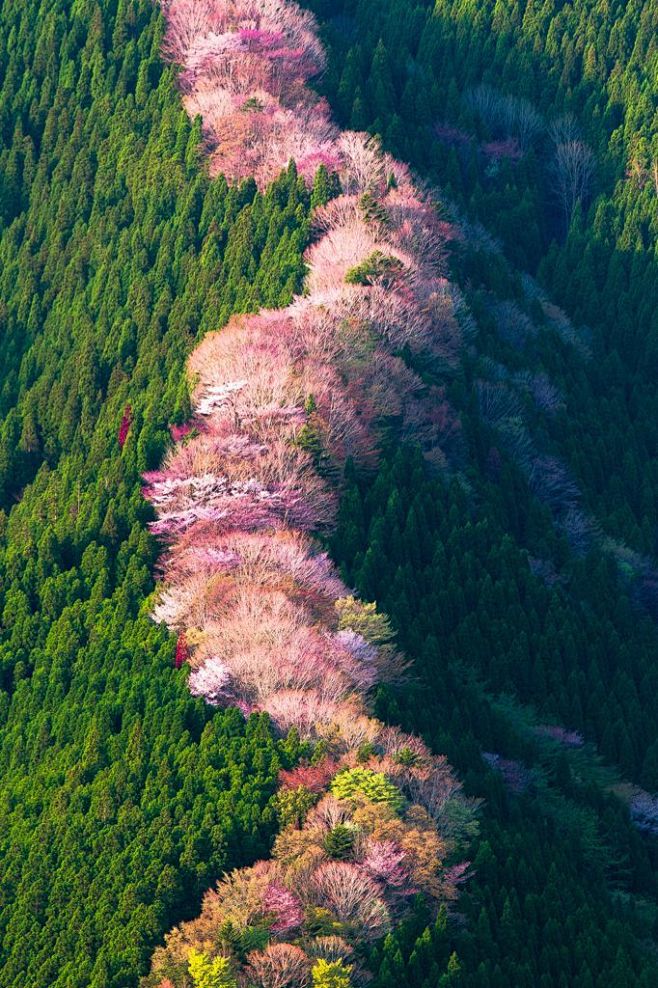 天川山的四季。