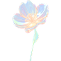 花瓣素材_通用玻璃质感立体3D花朵花卉免抠元素_193296502