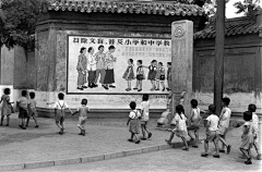 azh采集到历史