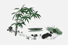 中国画水墨竹子插画