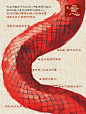 中国“小龙”❗️来自传统文化的美好图腾 - 小红书