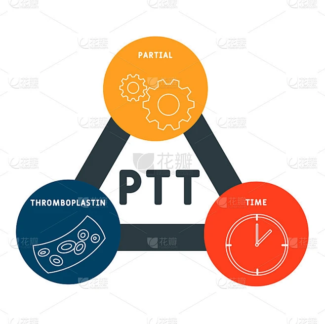 PTT - Partial Thromboplastin Time首字母缩写图片_其他图片图片素材-花瓣网