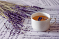 General 2048x1366 musical notes cup tea plants lavender