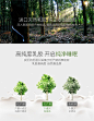 乳胶按摩枕海报的 搜索结果_360图片
