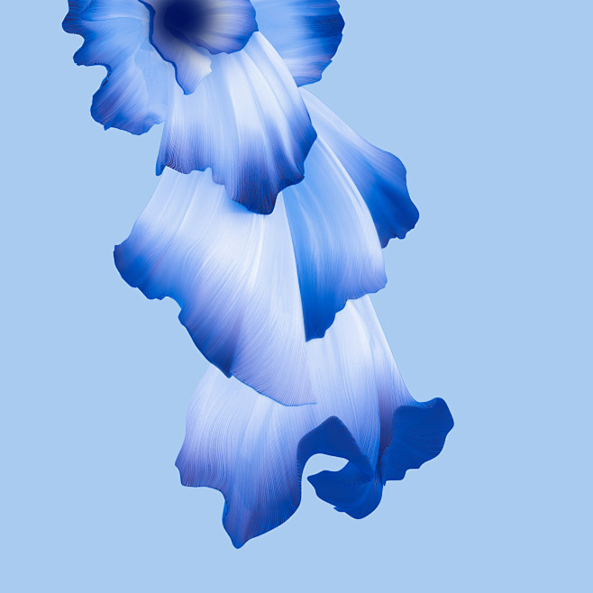 华为honor20手机自带壁纸9